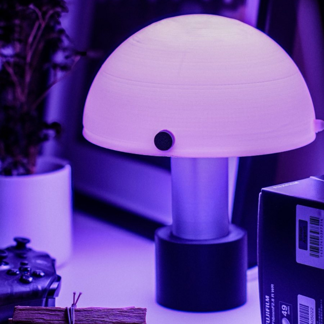 ROTATABLE MUSHROOM LAMP